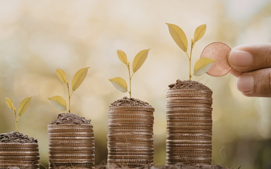 Cómo conseguir financiamiento si tu ONG está empezando